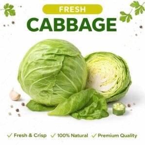 Cabbage
