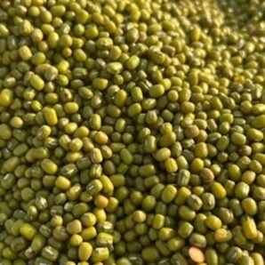 Green Moong (Half kg)